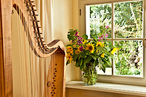 Konzert im Salon mit Harfe vorm Fenster